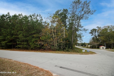 861 Roberts Rd, Newport, NC 28570 - photo 7