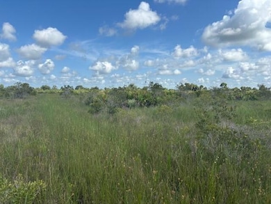 0 NW 318th St unit F10523811, Okeechobee, FL 34972 - photo 2
