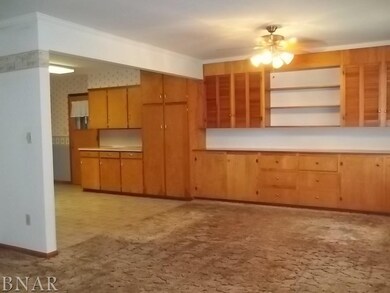 521 Sunrise Dr, Chenoa, IL 61726 - photo 7