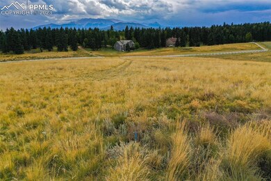 195 Joshua Rd, Divide, CO 80814 - photo 5