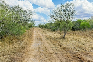 1121 Other, Alice, TX 78342 - photo 7