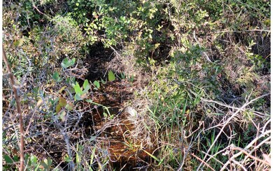 0 County Line Rd unit 121590, Lee, FL 32059 - photo 3