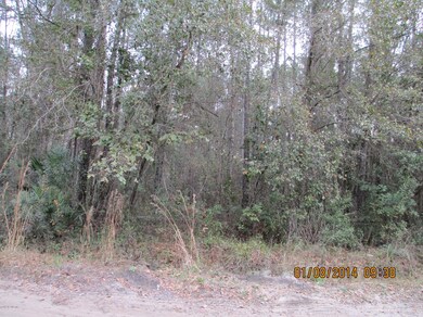 3474 Baker Rd, Middleburg, FL 32068 - photo 6