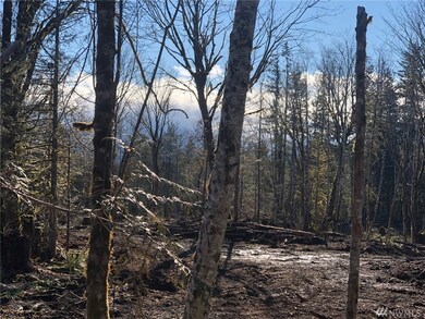 22 Nickelbush Rd, Quilcene, WA 98376 - photo 5