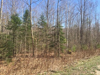 16 Fondue Dr, Thornton, NH 03285 - photo 2