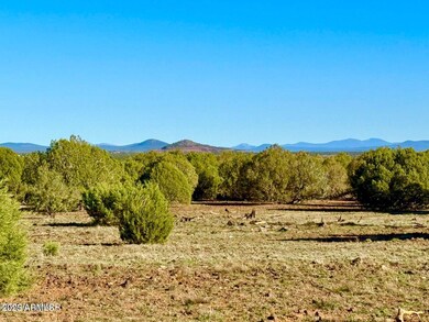 TBD Mustang Ln Lots F & H 5 Acre --, Show Low, AZ 85901 - photo 4