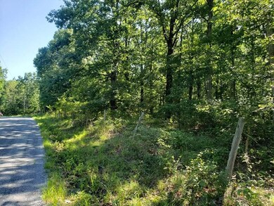 1081 Edenway Rd, Dover, TN 37058 - photo 4