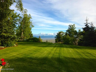 Backyard in Summer