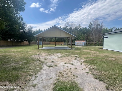 4314 Nc Highway 53 E, Burgaw, NC 28425 - photo 3