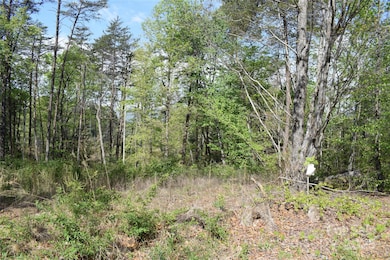 0 Winter Ln unit Lot 7 CAR4280434, Mill Spring, NC 28756 - photo 2