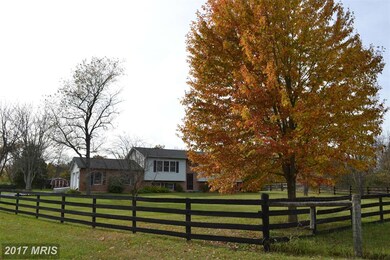 256 Knights Bridge Ln, Summit Point, WV 25446 - photo 5