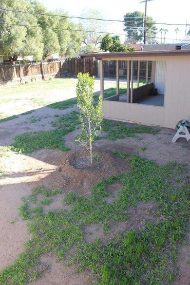 Backyard