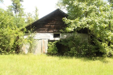 437 Billstown Rd, Delight, AR 71940 - photo 5