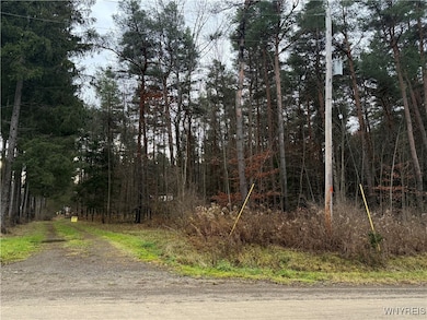 2815 Stuck Hill Rd, Scio, NY 14880 - photo 3