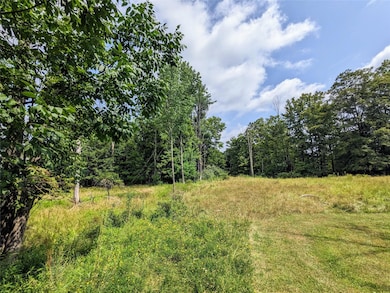 0 State Route 55, Kauneonga Lake, NY 12720 - photo 6