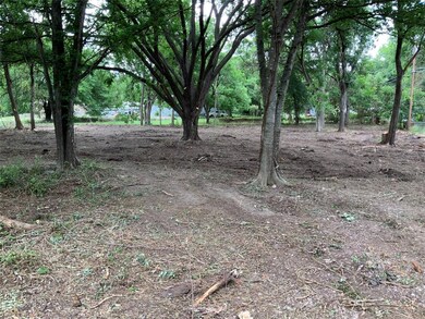 TBD Comanche Trail, Weatherford, TX 76087 - photo 5