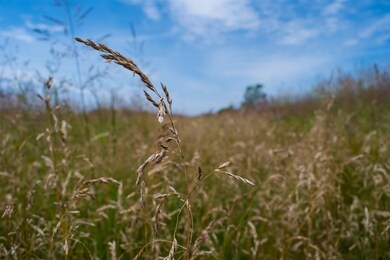N8477 5th Ave, Camp Douglas, WI 54618 - photo 6