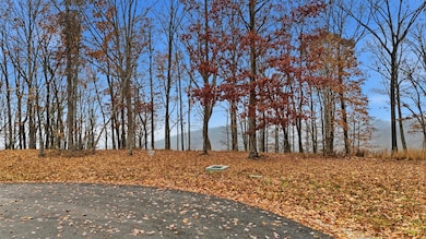 361 Volunteer St, Jasper, TN 37374 - photo 2