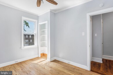 3826 Albemarle Ave, Drexel Hill, PA 19026 - photo 5