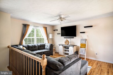 991 Seldon Dr, Strasburg, VA 22657 - photo 5