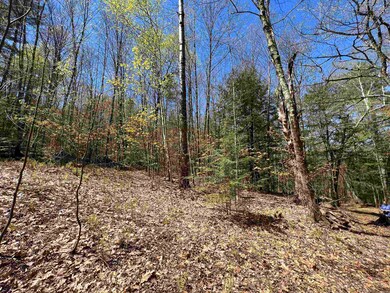 00 Ramsay Hill Rd, Walpole, NH 03608 - photo 5