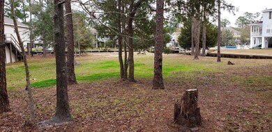 20190202_114741_resized
