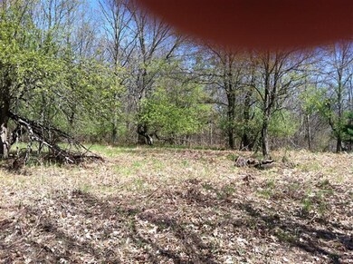 0 N Felch Ave unit 12022318, Sherman Township - Newaygo, MI 49349 - photo 5