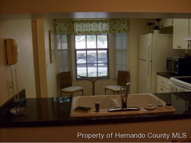 6361 Nature Preserve Ln, Spring Hill, FL 34606 - photo 7