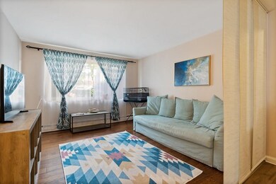 62 Carey Ave unit 1, Watertown, MA 02472 - photo 5