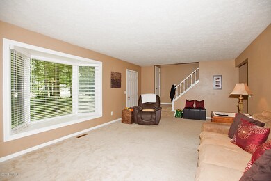 46574 33rd St, Paw Paw, MI 49079 - photo 2