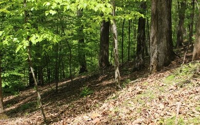 Additional View