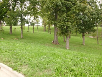 -L57 Tuscany Hills Phase 1, Nixa, MO 65714 - photo 7