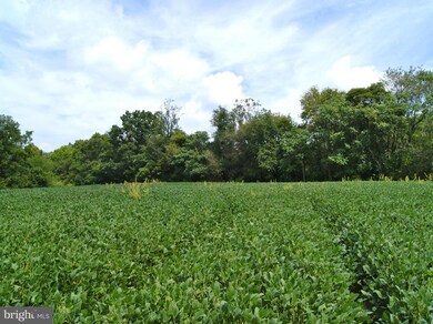 3726 Petersville Rd, Knoxville, MD 21758 - photo 6