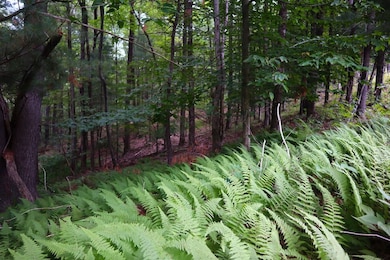 0 Slivko Rd unit LotWP001 17796563, Nassau, NY 12123 - photo 5