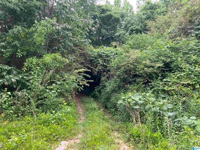 0 Cody Rd unit Lot 2 1321141, Roanoke, AL 36274 - photo 3