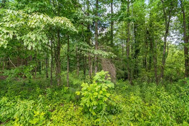 0 Fredonia Rd unit RTC2671348, Manchester, TN 37355 - photo 5