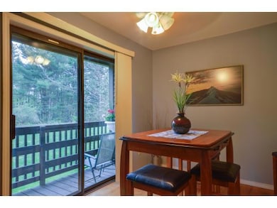 60 Twin Oaks Terrace, South Burlington, VT 05403 - photo 6