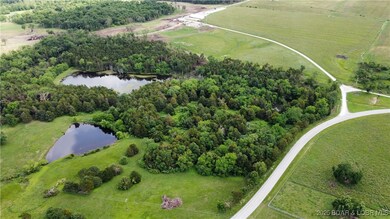 31.5 Acres C Hwy, Lincoln, MO 65338 - photo 6