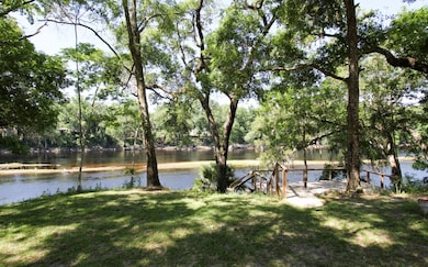 View of the Suwannee River
