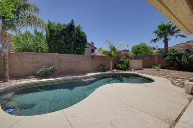 View From Covered Patio