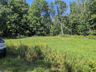 Lot 18 Iisalo Rd, Temple, ME 04984 - photo 3
