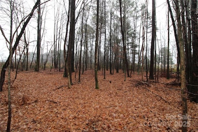 4+/-AC LOT 5 Milo Neal Rd, Kings Mountain, NC 28086 - photo 2