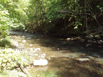 DSC00801 (Medium)