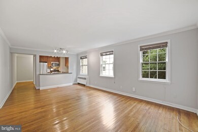 2217 Washington Ave unit 103, Silver Spring, MD 20910 - photo 7