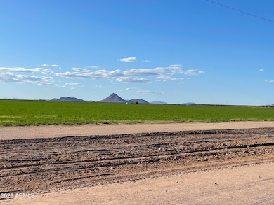 0 W Hyder - Lot 2 Rd unit 2, Gila Bend, AZ 85337 - photo 7