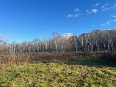 3181 County Rd Q, Forest Township, WI 54005 - photo 5