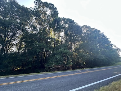 Lot 3a Elberton Hwy, Lincolnton, GA 30817 - photo 3