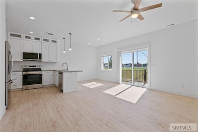 1120 Home Run Ave, Saint Anthony, ID 83445 - photo 4