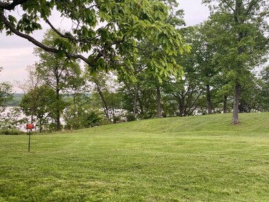 602 S Raum Park Dr, Golconda, IL 62938 - photo 5