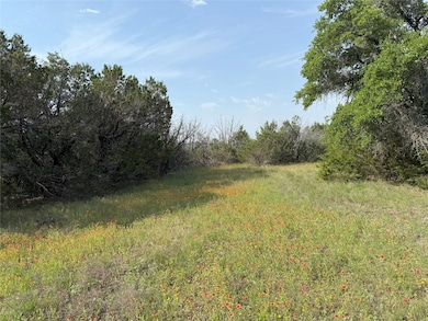 TBD 2010 unit Lot 4, Glen Rose, TX 76043 - photo 5